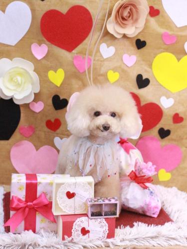 20230216クーくん